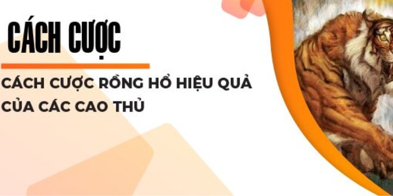 Chia sẻ cách cược Rồng Hổ bất bại